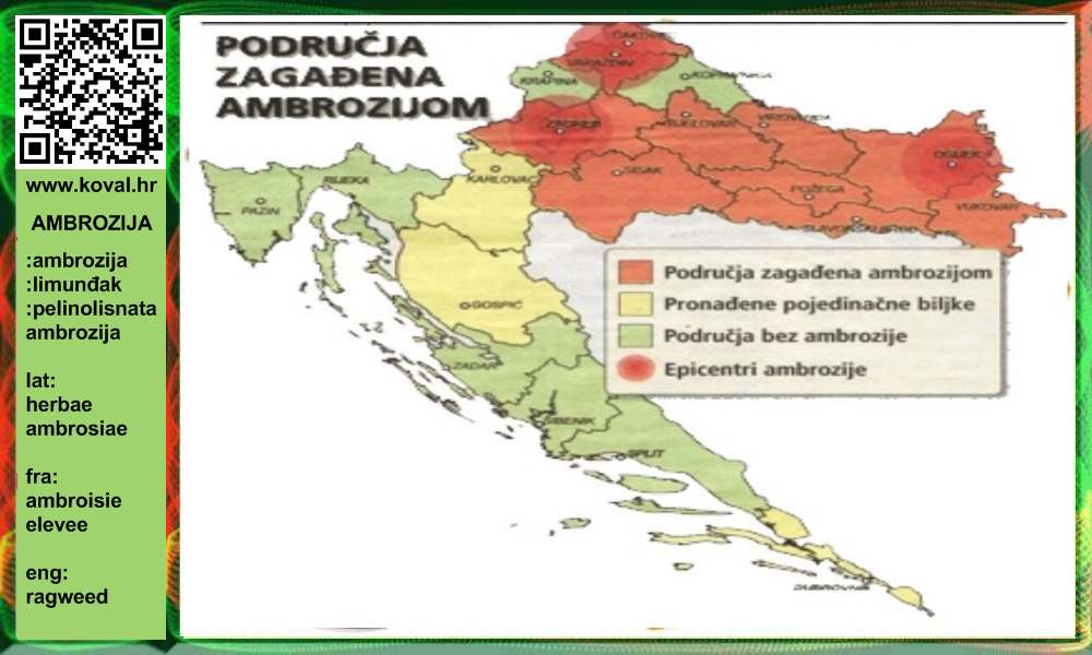 ljekovito bilje